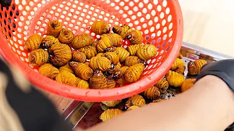 GIANT COCONUT WORMS Vietnamese Street Food