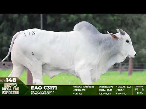 LOTE 148