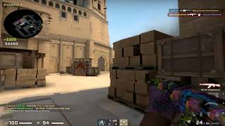CSGO BONES