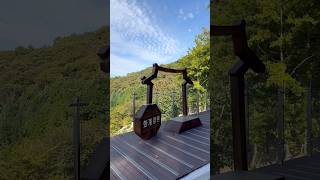 강화 교동도 화개정원, 전망대 & 모노레일 🌿🌲🚊