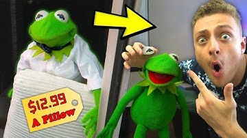Kermit the Door Salesman! (GONE WRONG)