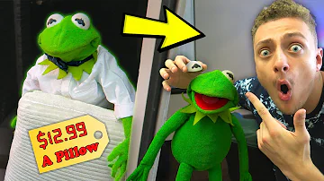 Kermit the Door Salesman! (GONE WRONG)