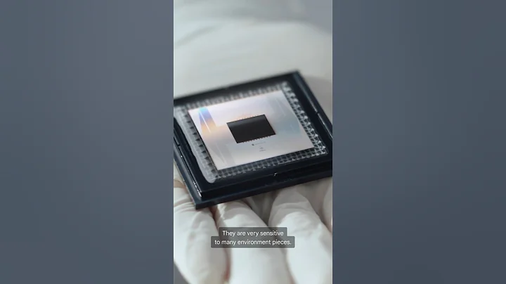 The hardware behind Quantum Echoes