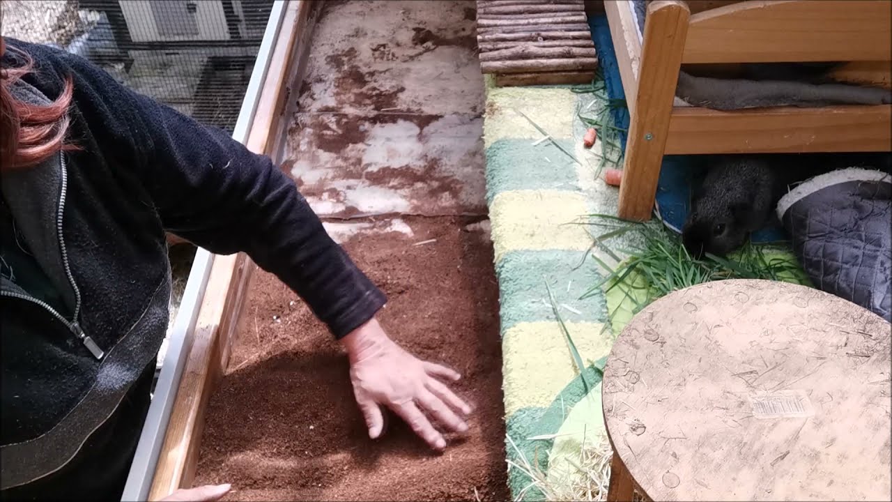 Kokoseinstreu Fazit nach drei Wochen