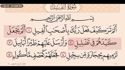 سورة الفيل عبدالله عواد الجهني