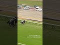 【府中の直線】イクイノックス!ジャパンカップ🇯🇵府中最後の直線。