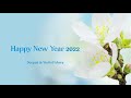 Bry-Air New Year Video