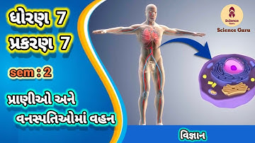 Pranio ane vanaspatio ma vahan || std 7 science ch 7 || પ્રાણીઓ અને વનસ્પતિઓમાં વહન ||ધોરણ 7 વિજ્ઞાન