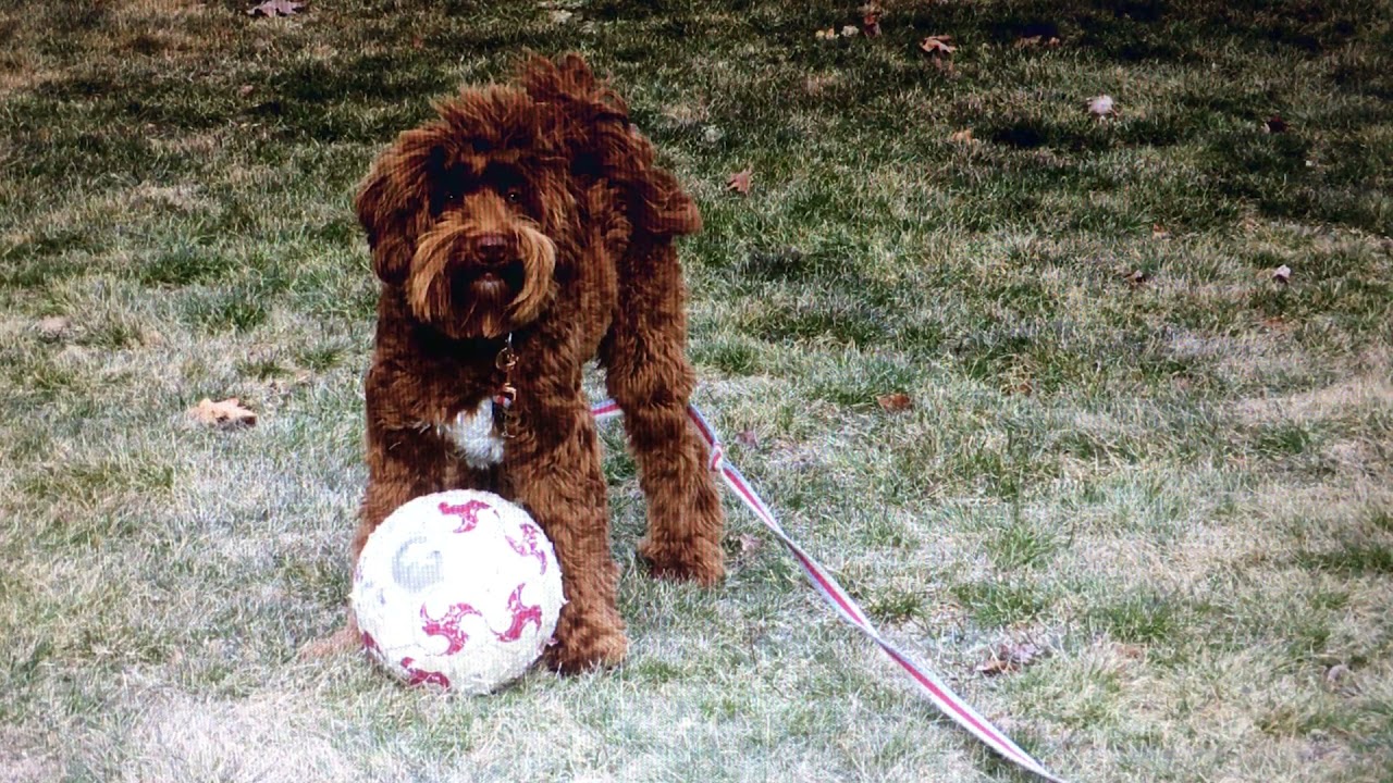 I M UP AND MOVIN YouTube I M UP AND MOVIN YouTube