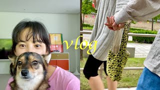 VLOG | 데이트 브이로그, 요즘 근황, 넷플릭스 추천