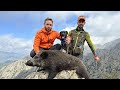 Tirs de 9 sangliers en battuechasse en corse  bastelica