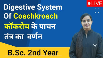 B.Sc. Second Year | Paper-2 Unit-1 Class-2 | Zoology | #sambhavinstitute #bsc #ru #pdusu