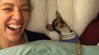 Cute dog and owner are best friend moments -  Cutest Animals Video