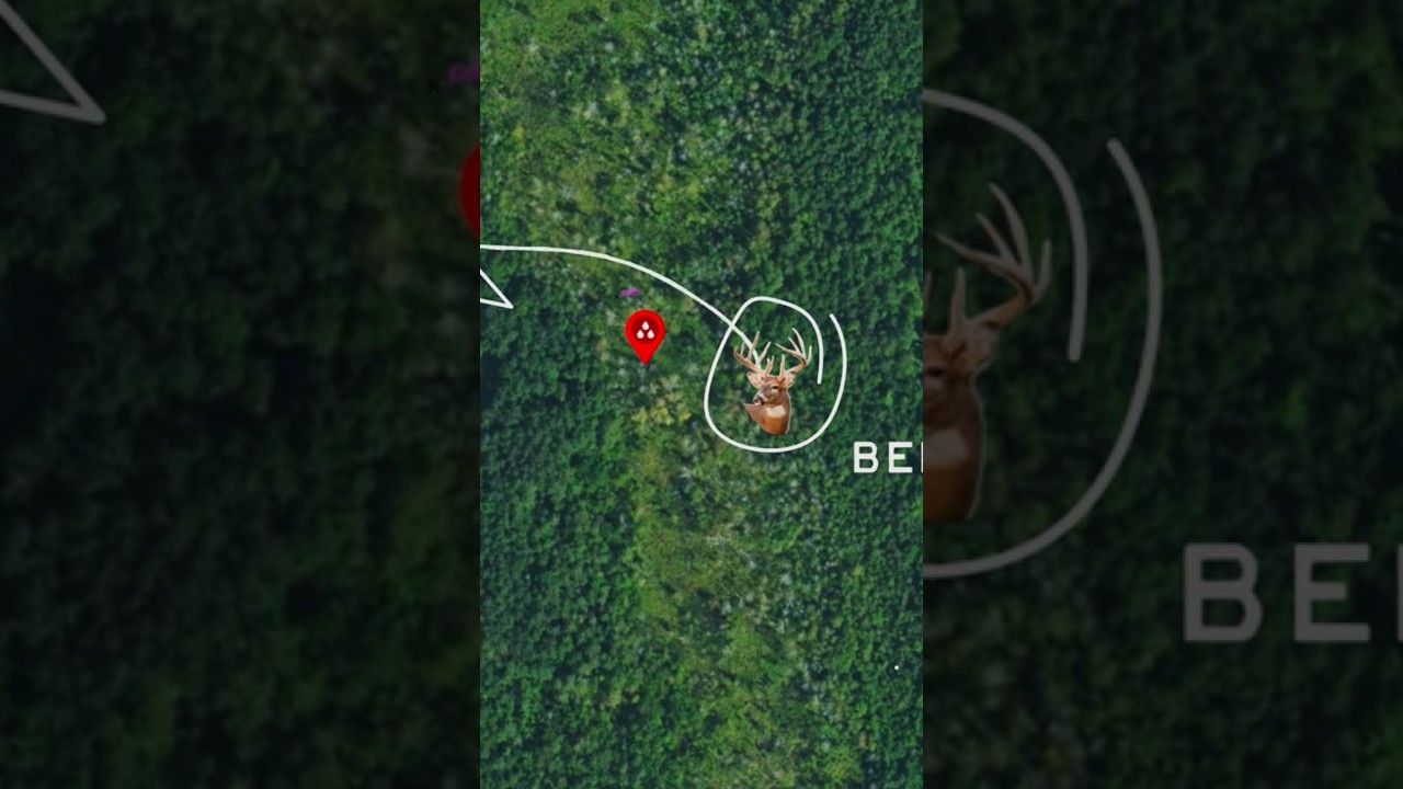 Убиваем оленей на болоте! 