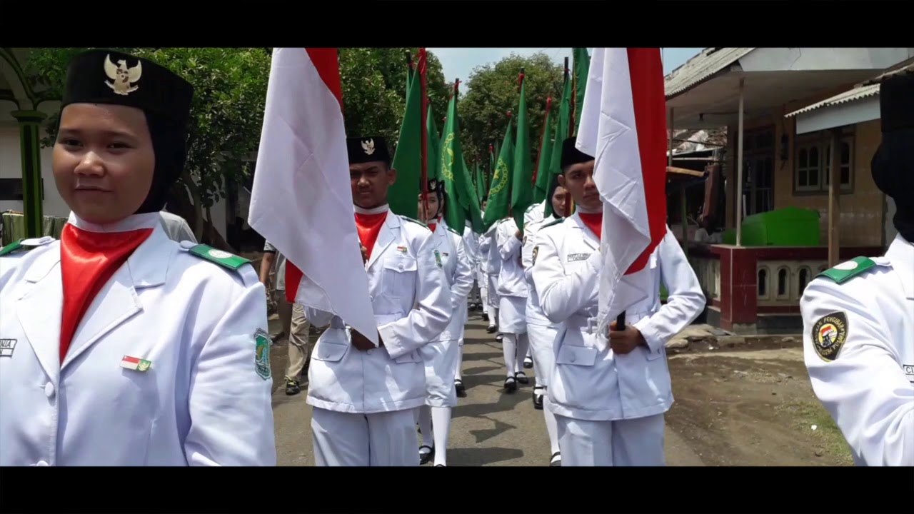 PENANAMAN 1000 BIBIT MANGROVE 
