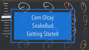 Cem Olcay SnakeBud AUv3 Midi Sequencer - Tutorial