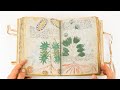 Voynich Manuscript (Full version) - Leafing through the facsimile edition