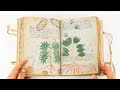 Voynich Manuscript (Full version) - Facsimile Editions and Medieval Illuminated Manuscripts