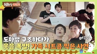 [TV 동물농장 레전드/SUB] 🦎도마뱀 구조하다가 웃음 폭발! 가족 시트콤 찍은 사연🤣 #TV동물농장 #AnimalFarm #SBSstory