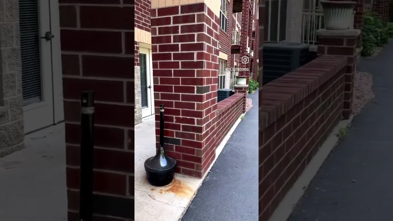 Giant TOM in my Driveway! 