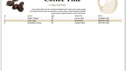 DataAdapter y Report Preview desde editor JasperSoft | MYSQL