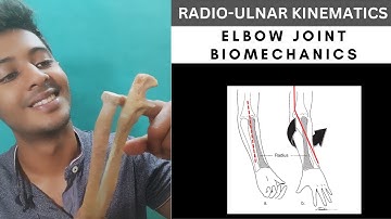 RADIOULNAR  JOINT KINEMATICS- ELBOW COMPLEX BIOMECHANICS  (Physiotherapy Tutorials)