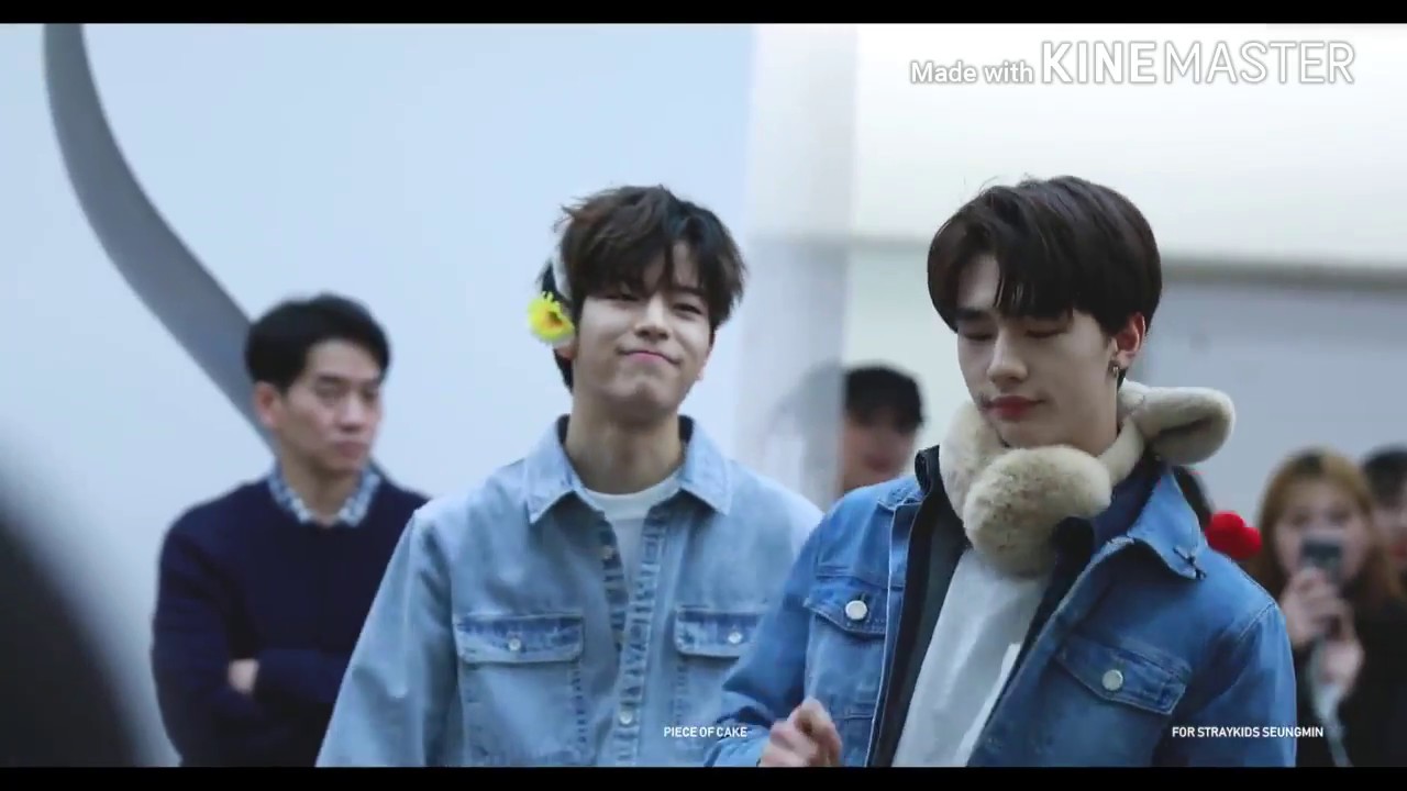 Hyunjin x Seungmin | Best Friend (Seungjin/Hyunmin)