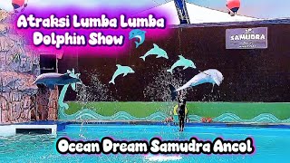 ATRAKSI LUMBA LUMBA 🐬 Dolphin Show Ocean Dream Samudra Ancol || Bareng Alesha dkk
