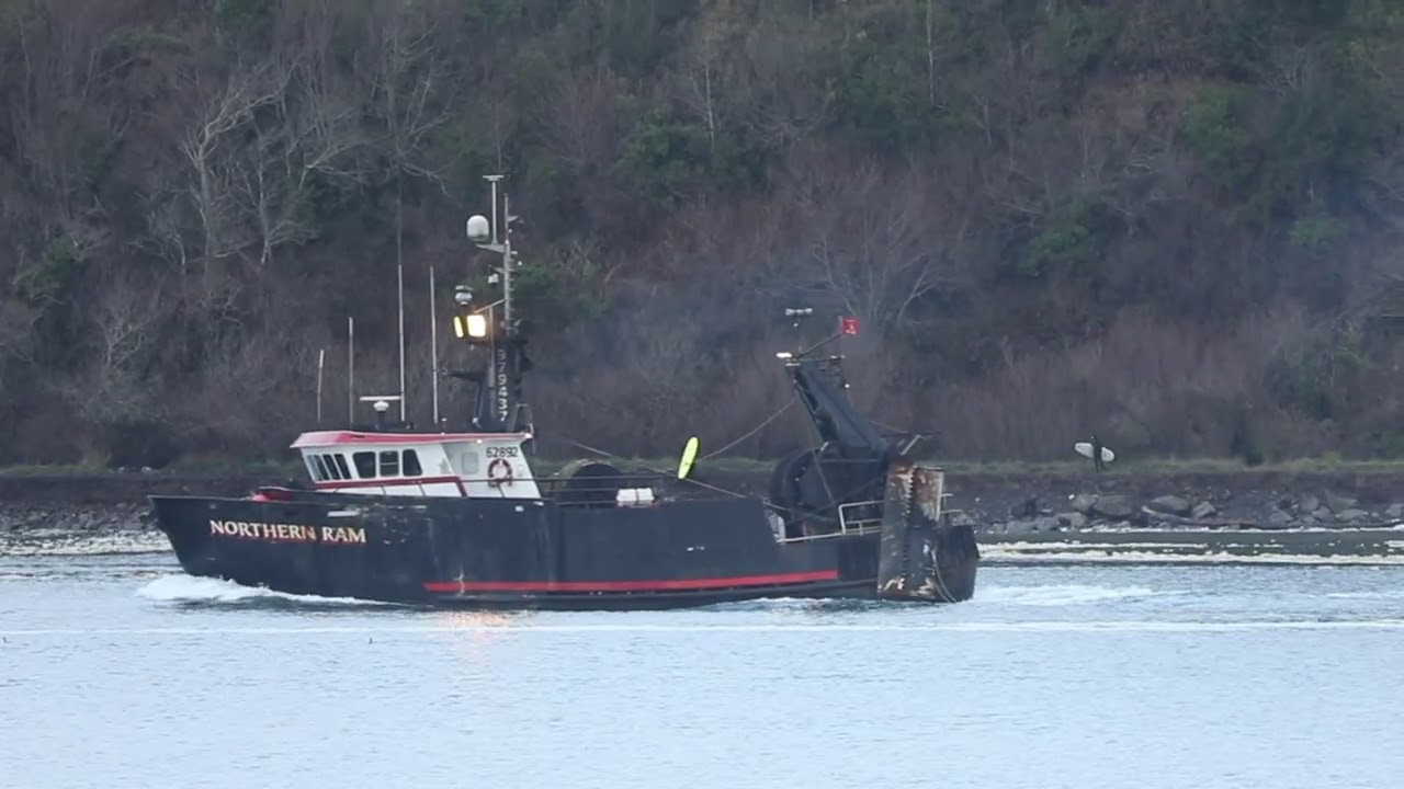 Suburban Cowboy Promo