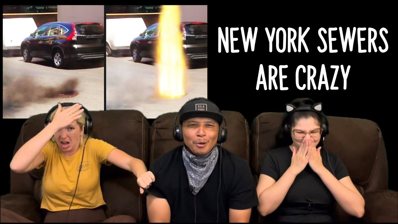 DAILY DOSE OF INTERNET 17 (2/2025) - Reaction!