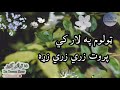 ټولوم په لار کي پروت زري زري زړه کریم الله قلم یار پښتو ترانه 