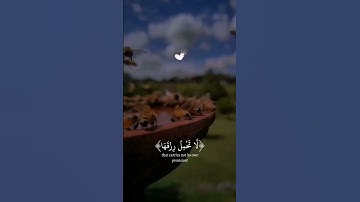 الذين صبروا وعلي ربهم يتوكلون #قران كريم #أحاديث_الرسول#اكسبلور#تلاوه هادئه #ريح سمعك وقلبك