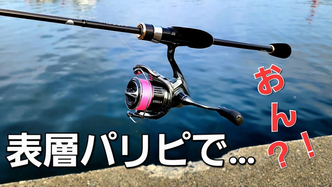 アジング】夏アジング注意する事。これするとこうなる事も… - YouTube