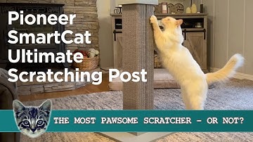 Smart Cat Ultimate Scratching Post - Is It The Ultimate? (We Tested It!)