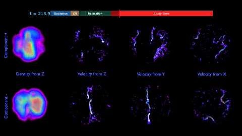 "Quantum turbulence by vortex stirring in a spinor Bose-Einstein condensate"