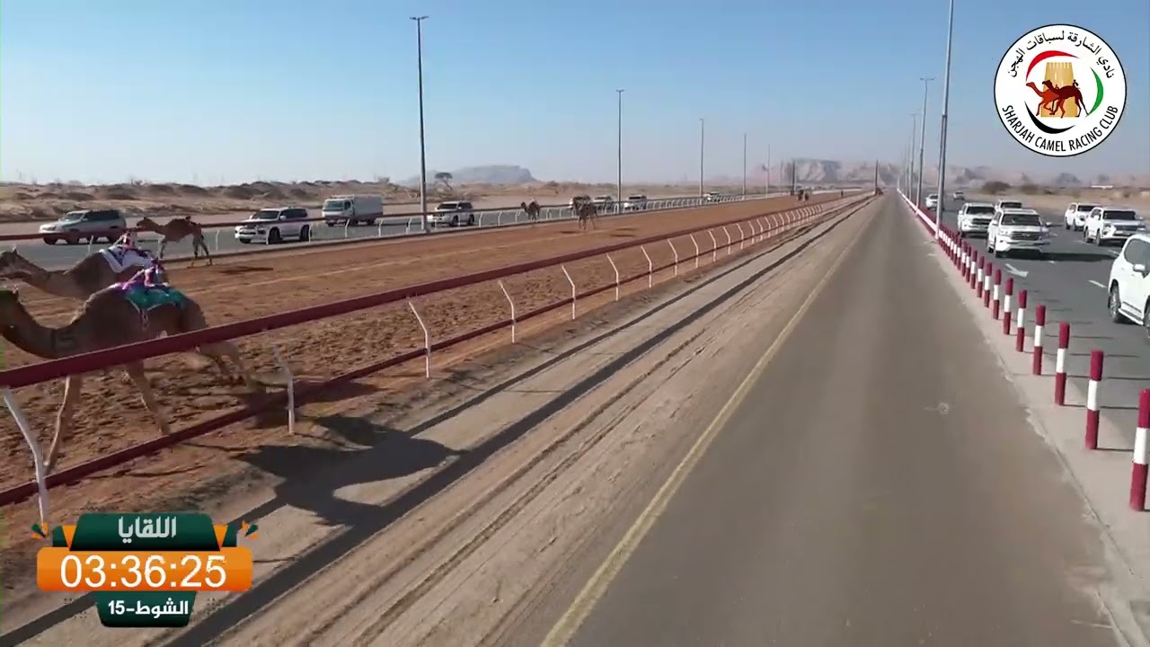 ميــدان الذيد - ش 15 اللقايا 18/01/2026 الغزال لـ سالم الدهيمي حمد العامري. التوقيت: 7:45:87