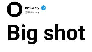 Big shot Meaning In English 