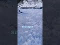 #travel # Srinagar Jammu