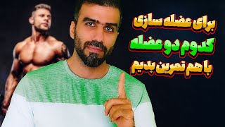 برای عضله سازی چه عضلاتی را با هم تمرین بدهیم |  طراحی تمرین برای گرفتن بهترین نتیجه