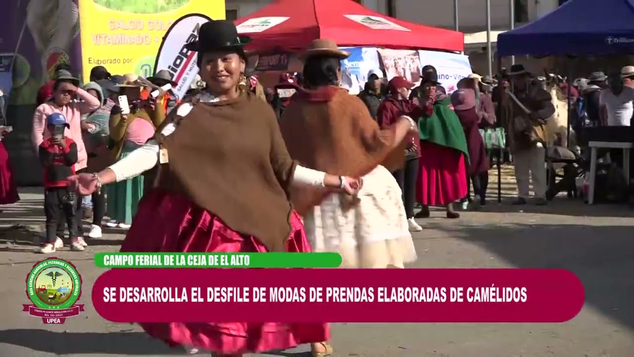 FERIA DE CAMELIDOS 2023