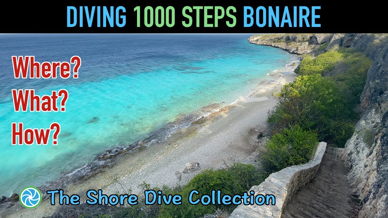 Diving 1000 Steps Bonaire The Shore Dive Collection TropicLens 4K YouTube Diving 1000 Steps Bonaire The Shore Dive Collection TropicLens 4K YouTube