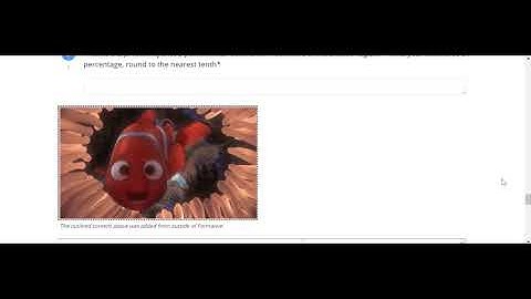 Formative Introduction Video