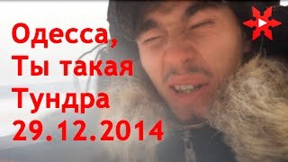 Одесса 29.12.2014 Снегопад! Одесса, ты такая Тундра!