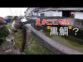 まさか★こんなところに黒鯛!! 第一弾