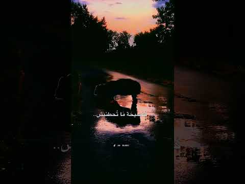 عندي ش خصي ت ين لا ط يف يا ل ط يف تحفيز اقتباسات تطوير الذات اقتباس حكم