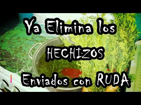 El BAÑO DE RUDA Elimina daños, Rompe Hechizos y todo lo malo Efectivo ...