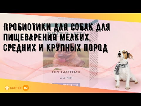 Пробиотики для собак для пищеварения мелких, средних и крупных пород