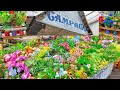 Hanya Rumah Makan Padang Ini di Indonesia Nyambi Jualan Bunga