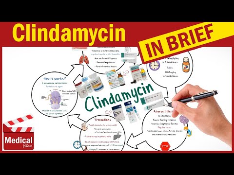 Video: Clindamycin - Instructions For Use, Indications, Doses, Reviews