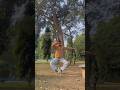 👀👀🔥🔥#dance #dancevideo #dancecover #dancechallenge #youtubeshorts #dancer #viralvideo#view